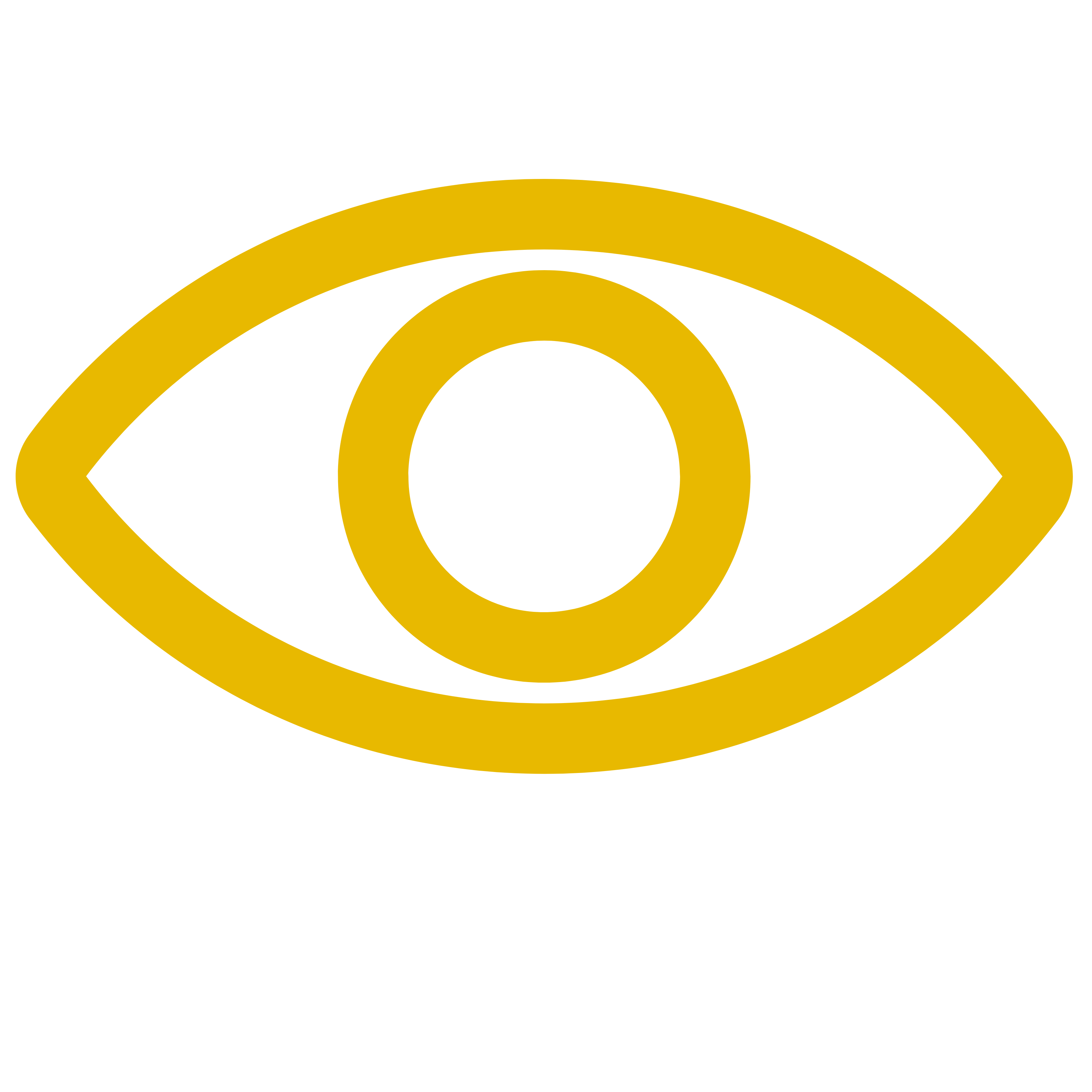 Vision Icon